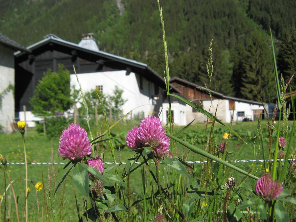 Ostello Nouveau Grassonnet